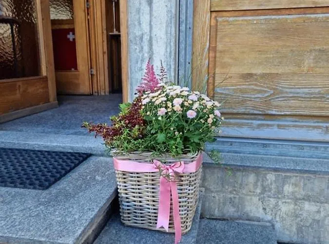 Alojamento de Acomodação e Pequeno-almoço Casa Leon *